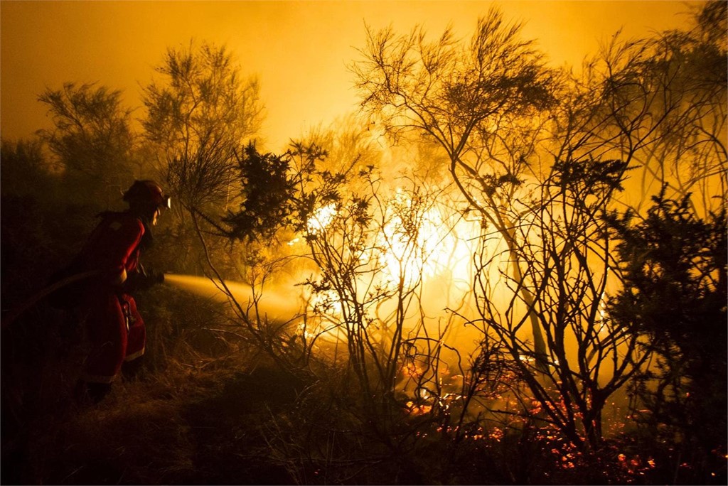 34 CÁMARAS VIGILARÁN LOS MONTES A PARTIR DE MAYO PRÓXIMO PARA PREVENIR INCENDIOS