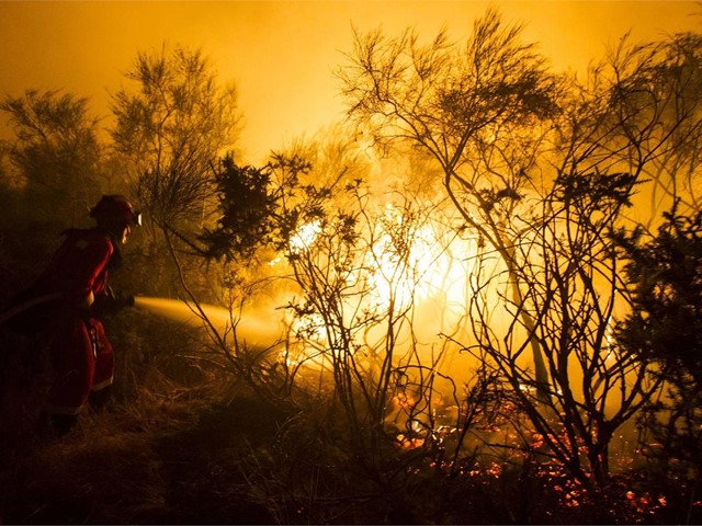 34 CÁMARAS VIGILARÁN LOS MONTES A PARTIR DE MAYO PRÓXIMO PARA PREVENIR INCENDIOS