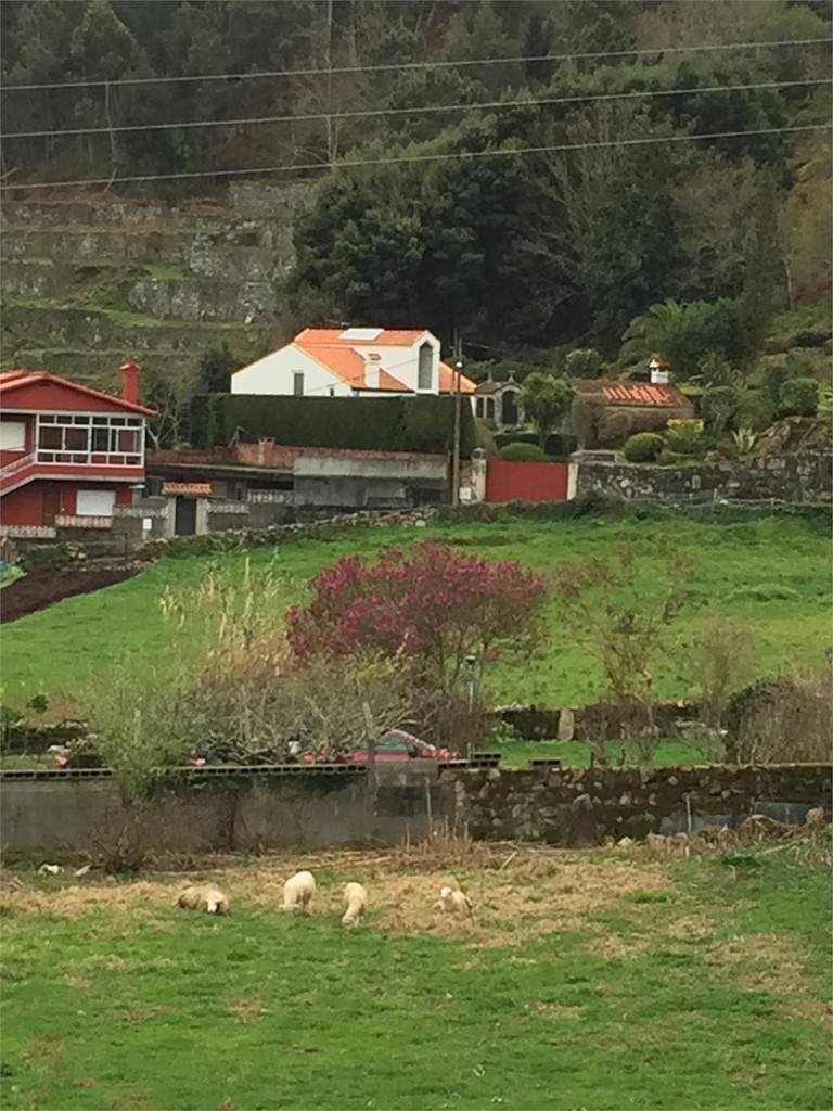 COMPRAVENTA DE TERRENOS POR PARTE DE COMUNIDADES DE MONTES VECINALES EN MANO COMÚN