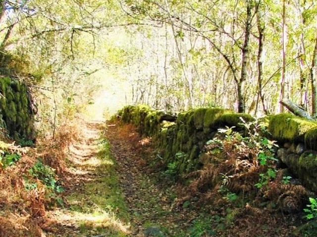 EDICIÓN CONMEMORATIVA DEL QUINTO ANIVERSARIO DEL BLOG "EL ENTORNO JURÍDICO DE LAS COMUNIDADES DE MONTES VECINALES EN MANO COMÚN" AGOSTO 2013 - AGOSTO 2018